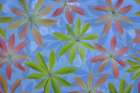 USA, Washington State, Seabeck. Montage of Japanese pieris leaves in spring. Art Print